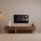 DENVER TV Unit Sub Block