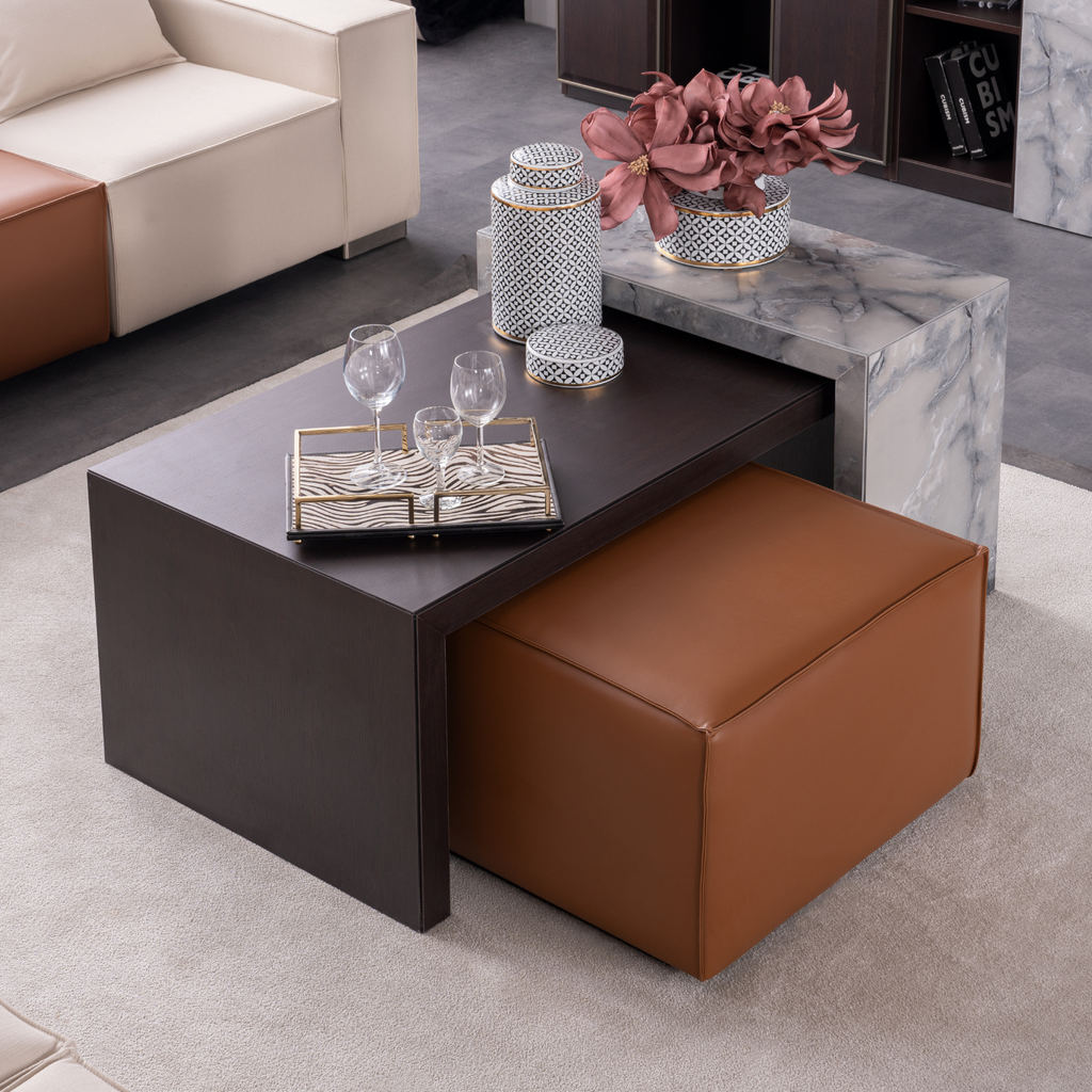 ZARE Coffee Table